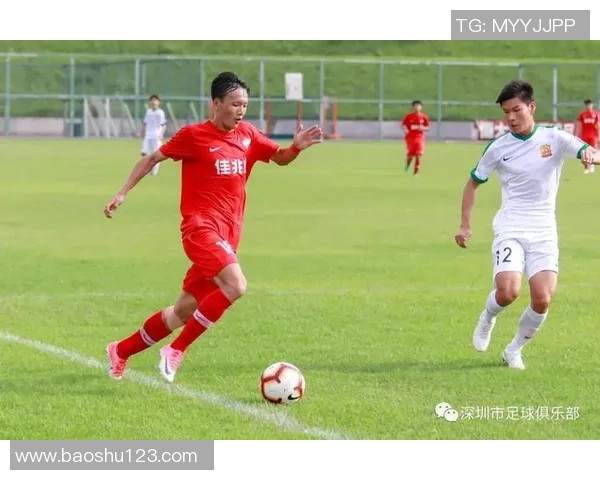 深圳极限运动队的个人能力分析与发展探讨